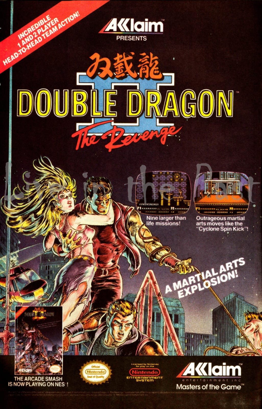 Double Dragon II: The Revenge (1990) - Vintage Retro Video Game Print Advertisement